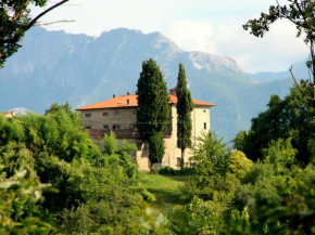 Historic Cottage in Fivizzano with Swimming Pool Fivizzano